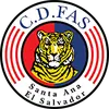 CD法斯