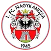 纳吉卡尼塞